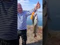 Здесь рыбы нет🎣😄