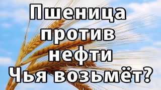 Россия - хлебная супердержава. Пшеница на экспорт.