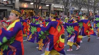 とらっくbyちふれ　第21回よさこい東海道　上土演舞場