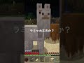 【マインクラフト統合版】 統合版 恐怖！【ラマ】 に謎の【呪印】が！ 本当に怖いのだけれど。 shorts