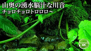 【睡魔 川の音】山奥で湧き出す脳汁爆汁川の音-眠り-集中力-勉強