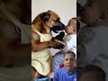 Dog #doglover #animals #vital #viralvideos