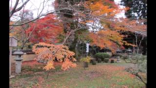 京都の紅葉　十輪寺境内