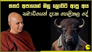 සතරඅපායෙන් මිදී මනුස්ස ලොවට කෙලින්ම ආ වාසනාවන්තයෝ ගැන සමාධියෙන් බලා භික්ශුවක් හෙලි කල රහසිගත දේශනාව​