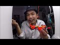 shakedown ang sekreto ng kamao ni diva tamiya mini 4wd