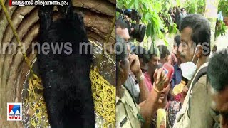 കിണറ്റിലെ വെള്ളം വറ്റിച്ച് കരടിയെ പുറത്തെടുക്കാന്‍ ശ്രമം ​| Bear