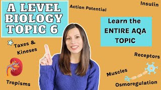 ENTIRE topic 6: THIS IS THE OLD VERSION. NEW VERSION LINKED IN DESCRIPTION