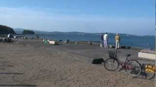 日曜日の田辺元島堤防