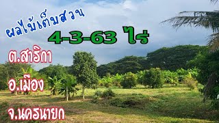 ปรับราคา ✅️✅️ สวนผลไม้  ใกล้แหล่งท่องเที่ยว ต.สาริกา   จ.นครนายก  โฉนดครุฑแดง 4-3-63 ไร่  ผลไม้แน่นๆ