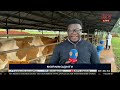 NAGRC&DB: Empowering farmers with advanced livestock breeding