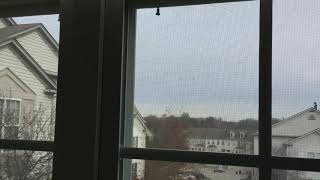These helicopters kept circling these neighborhoods
