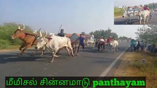 29/02/2020 மீமிசல் சின்னமாடு panthayam small click