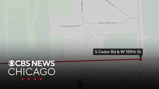 Victim Identified in fatal Homer Glen hit-and-run