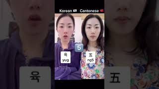 Amazing similarities between Korean and Cantonese 粤语和韩语原来发音这么相似！