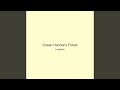 Ocean Harmony Forest
