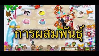 แฮปปี้คนเลี้ยงหมู Mobile (การผสมพันธุ์) |ใน เวอร์ชั่นเดิม