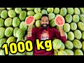 1000 kg Watermelon 😲🍉 | കേരളത്തിലെ ആദ്യത്തെ FREE ജ്യൂസ് കട🔥