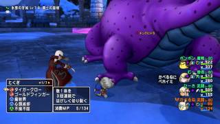 【DQX】ヒドラ討伐　武・武・魔戦・僧【ドラクエ１０】