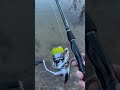 sportex shimano shimanostradic enjoy fishing naturelovers zanderfishing river