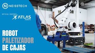 Neisstech - Robot Paletizador de Cajas