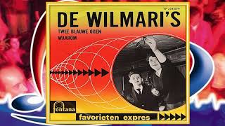 De Wilmari's ♪ Waarom ♫ (1965)