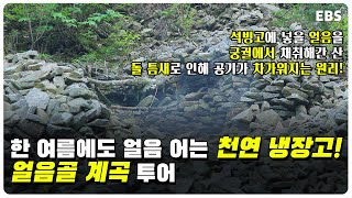 한 여름에도 얼음이 어는 산이 있다! 궁궐에서 천연 냉장고로 쓰이던 얼음골 둘러보기