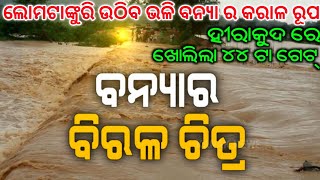 ହୀରାକୁଦ ରେ ଖୋଲିଲା ୪୪ ଗେଟ୍ !! ଲୋମଟାଙ୍କୁରି ଉଠିବ ଭଳି ବନ୍ୟା ର କରାଳ ରୂପ