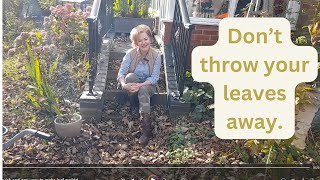 A quick and easy way to make leaf mould