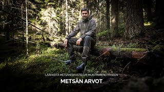 Suomen Metsämuseo Lusto - Metsän arvot