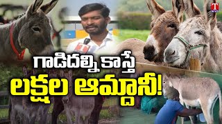 Special Story on Donkey Farm At Nagarkurnool | Donkey Milk | T News