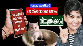 പൂച്ചകൾക്ക് ഗർഭനിരോധന മാർഗ്ഗങ്ങൾ | Contraceptive Methods For Cats @NANDASPets