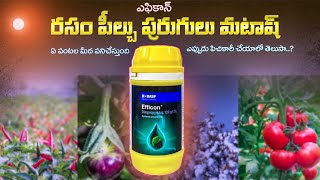 Efficon Insecticide Telugu || Efficon Insecticide uses in Telugu | BASF Efficon Insecticide Dose