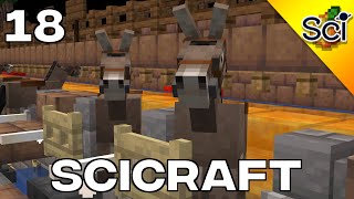 SciCraft 2: Industrialised Donkey Gene Selection Machine (Episode 18)