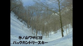 氷ノ山　ワサビ谷バックカントリー　'22.3.12