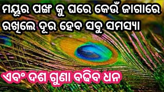 ମୟୂରପଙ୍ଖ କୁ ଘରେ କେଉଁ ଜାଗା ରେ ରଖିଲେ ଦଶ ଗୁଣା ବଢିବ ଧନ ||मोरपंख से जुड़े ऐसे टोटके जो बदलदेंगे आपका जीवन