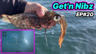 Helpful Tips For Catching Westernport Squid | EP#20 | Get’n Nibz