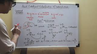 ACID CATALYSED ESTERIFICATION OF CARBOXYLIC ACID