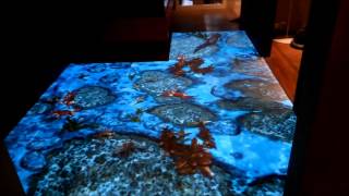 Interactive floor with sea fish!