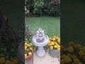 Bird bath in the garden