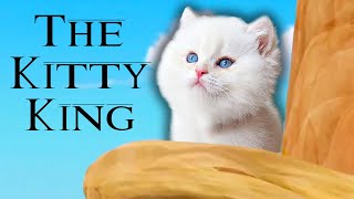 We Revealed a Kitten to our Dogs! (Lion King Spoof)