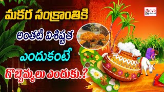 మకర సంక్రాంతి కి అంతటి విశిష్టత ఎందుకంటే | Makar Sankranti Festival | OM CVR Spiritual