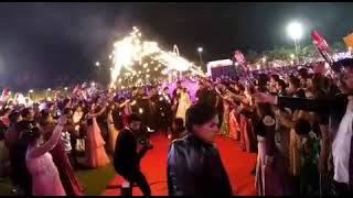 Hand Pyros | For Every Functions | RSL Special | Wedding special entry