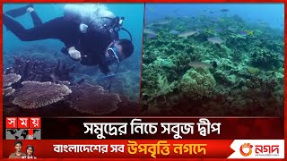 সাগরের গভীরে কোরাল বাগান | Cultivating Coral | Chinese Scientist | Deep Sea | Somoy TV