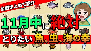 【あつ森】11月のうちに絶対とっておきたい魚、虫、海の幸！アプデで追加される料理で魚使うかも!?【あつまれ どうぶつの森】【ぽんすけ】