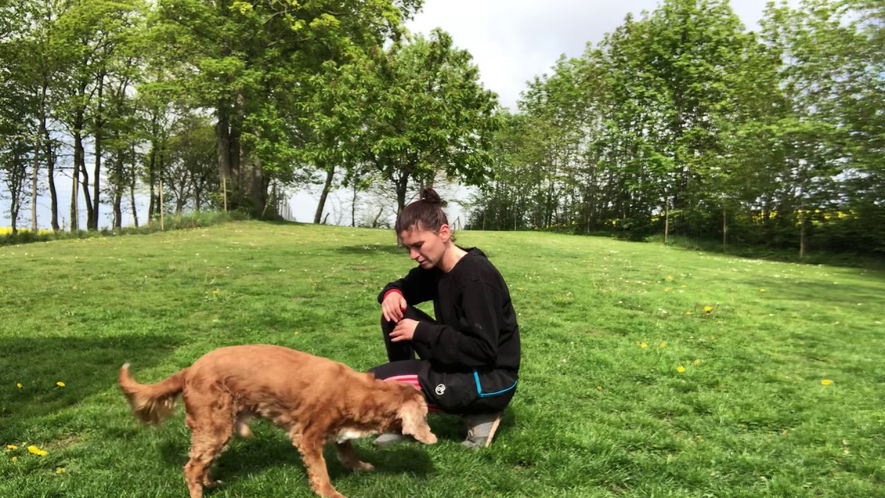 Tromplo 10 6 Youtube