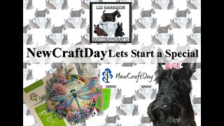 Diamond Painting | UNBOXING | #newcraftday | Beautiful Dragonfly | Starting Spec