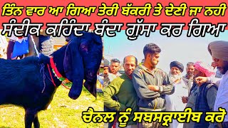 ਸੰਦੀਕ ਕਹਿੰਦਾ ਪੁੱਤ ਗੁੱਸਾ ਨਾ ਕਰ ਬੱਕਰੀ ਦੇਂਦੇ😜#bakramandi #goatfarming #farming #bakrifarming #punjabi #