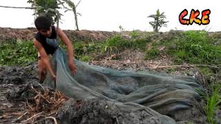 SMALL FISH CATCH AMAZING FISHING In INDIA like combodia