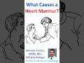 What Causes a Heart Murmur?