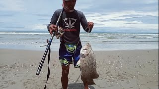 mancing pinggiran pantai (mancing pasiran) umpan belanak